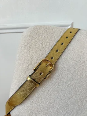 Ceinture dorée : Sany